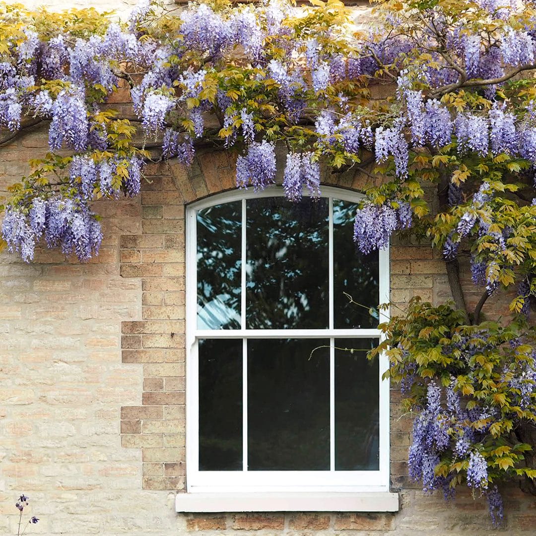 How Energy-Efficient Windows Can Save You Money on Your Energy Bills